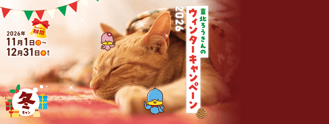 ウインターキャンペーン