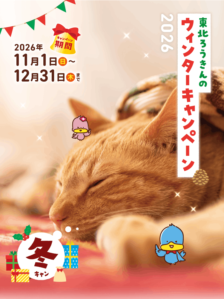 ウインターキャンペーン