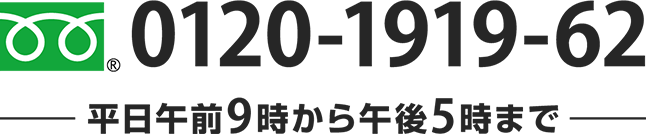 0120-1919-62