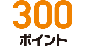 300ポイント