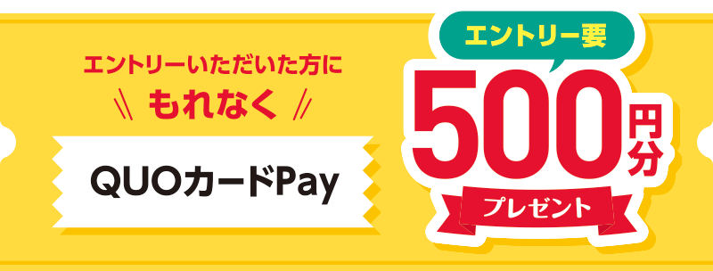 もれなくQUOカードPay500円分プレゼント