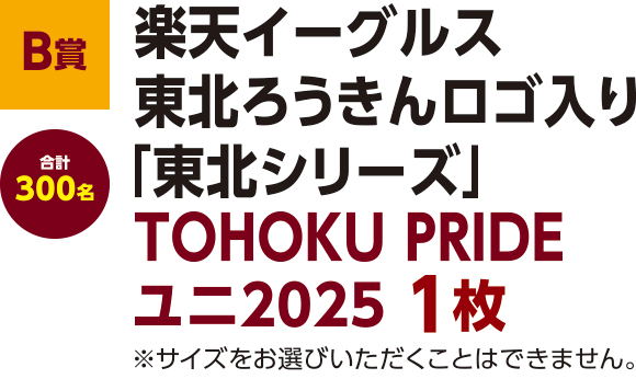 【B賞】楽天イーグルス東北ろうきんロゴ入り「東北シリーズ」TOHOKU PRIDEユニ2025 1枚 ※サイズをお選びいただくことはできません。 合計300名