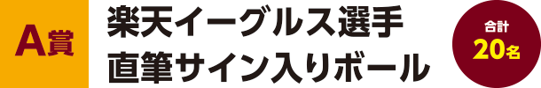 【A賞】楽天イーグルス選手直筆サイン入りボール合計20名