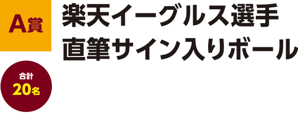 【A賞】楽天イーグルス選手直筆サイン入りボール合計20名